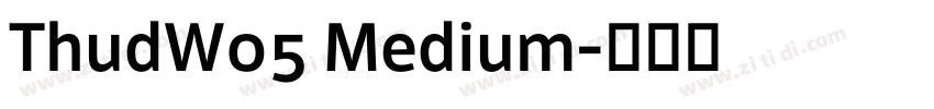 ThudW05 Medium字体转换
